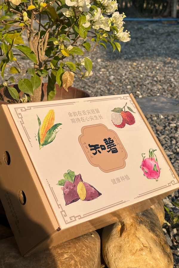 增城红心火龙果含箱5斤装(仅售广东、广西)