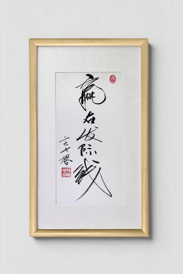 Hugo书法作品 赢在发际线