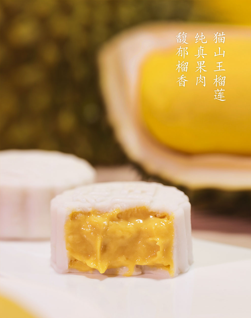 内页_05.jpg